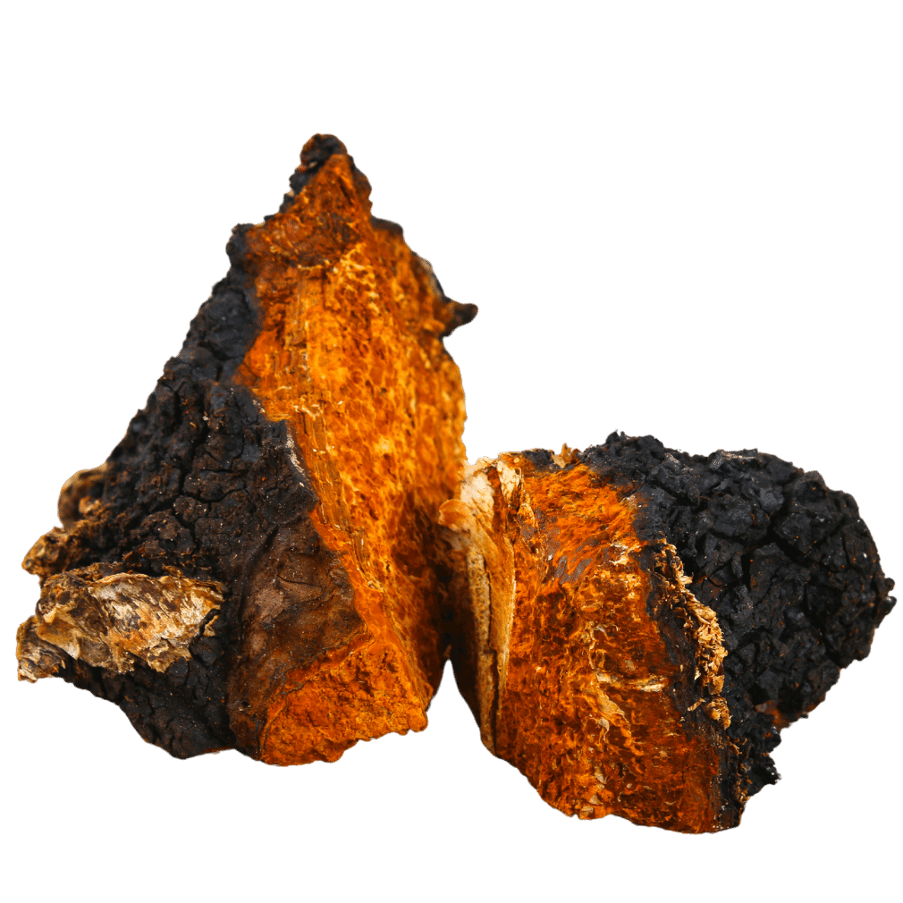 Herkunft der Rohstoffe für MYKOFIT® Bio Chaga Kapseln aus der unberührten Natur Sloweniens.