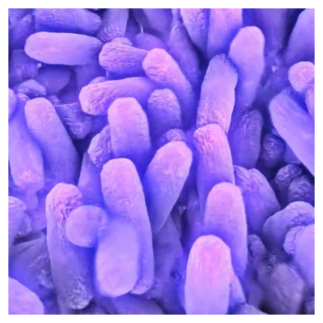vita7 SkinHydral® Flora, 60 Kapseln