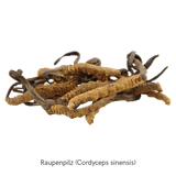 vita7 MYKOFIT® Bio Cordyceps, 180 Kapseln – Detailaufnahme der Verpackung