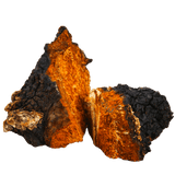 Herkunft der Rohstoffe für MYKOFIT® Bio Chaga Kapseln aus der unberührten Natur Sloweniens.