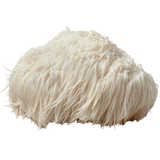 vita7 MYKOFIT® Bio Hericium, 180 Kapseln – Kapseln im Braunglas
