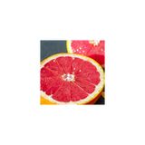 vita7 Grapefruitkernextrakt Tropfen, 100 ml – Packshot mit Pipette